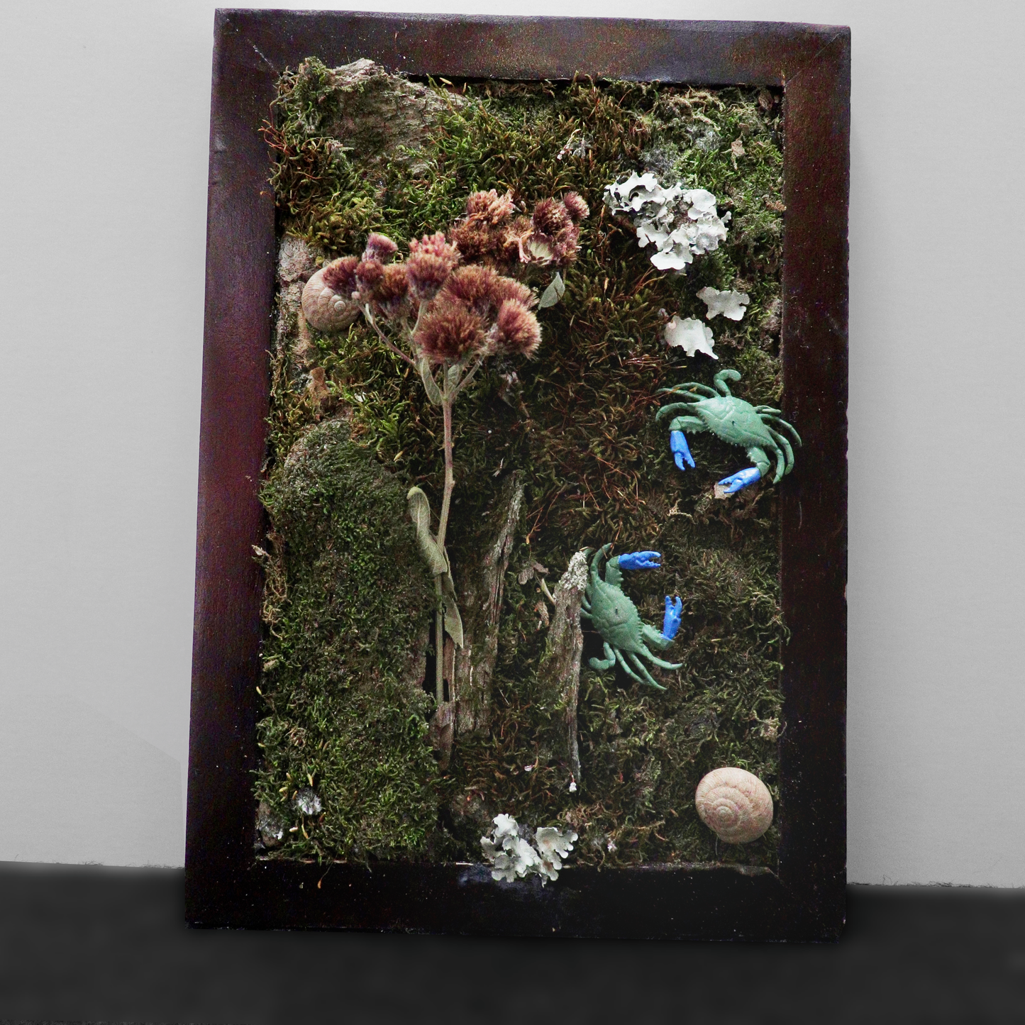 Micro-habitat Scenes HIDDEN TREASUERS COLLECTION Rustic Wall Decor