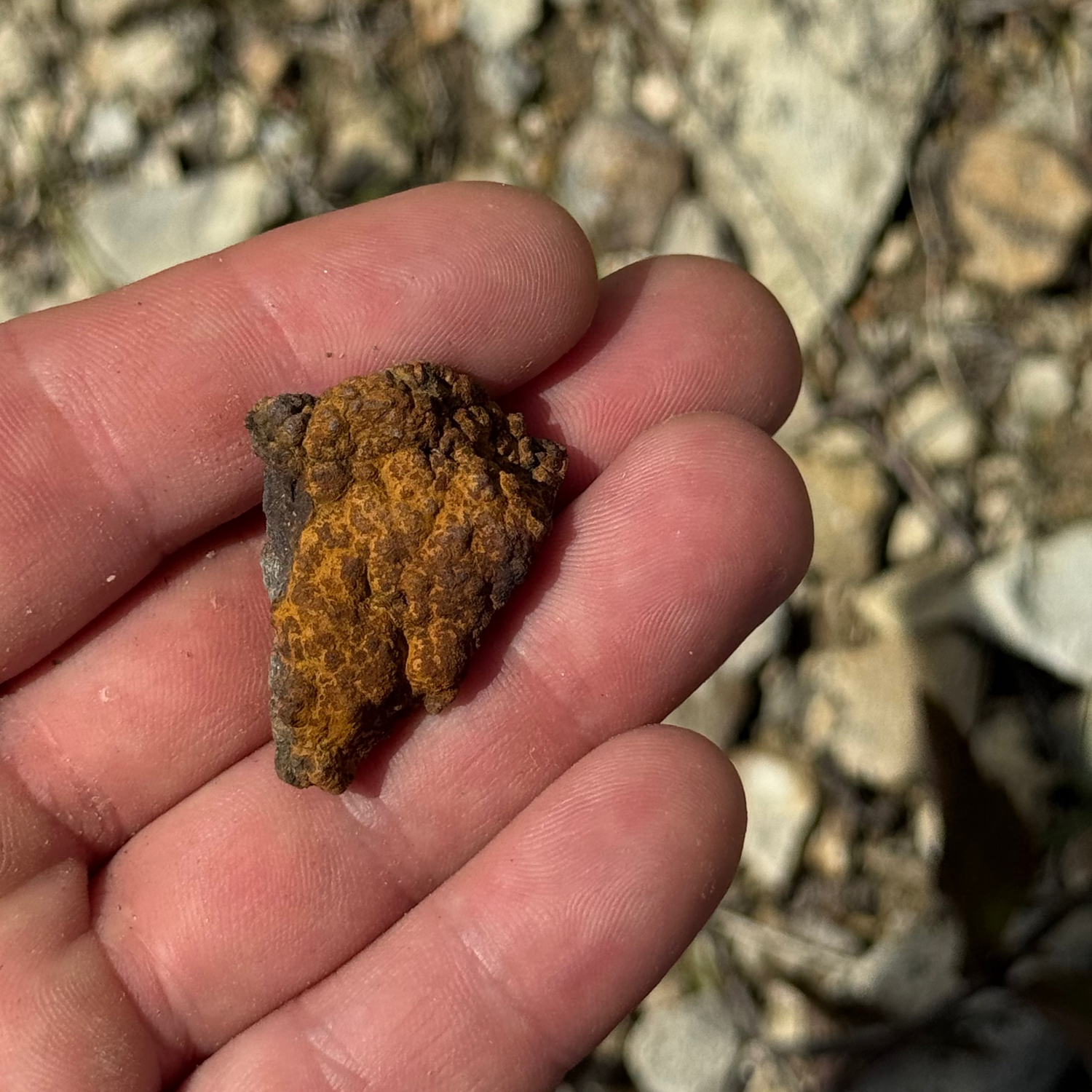 Hand holding a small rust-colored rock against a gravel background