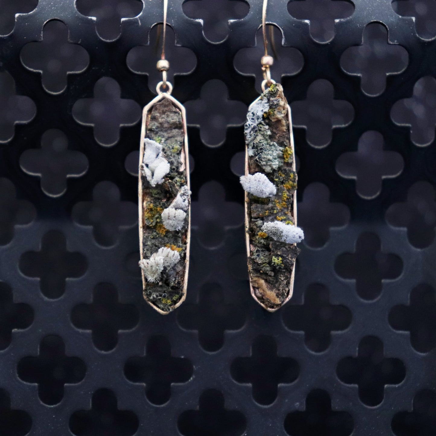 Pair of earrings with natural elements on a textured black background