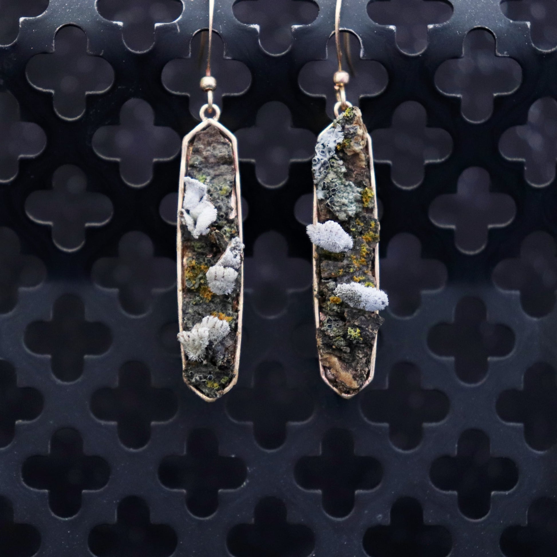 Pair of earrings with natural elements on a textured black background