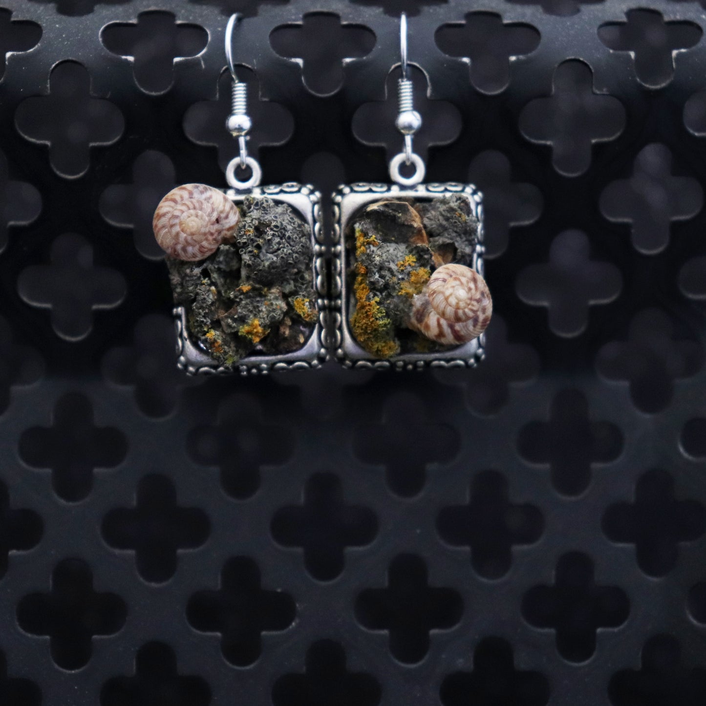 Square earrings with  silver frame and natural bark and lichen and shell design on a black textured background