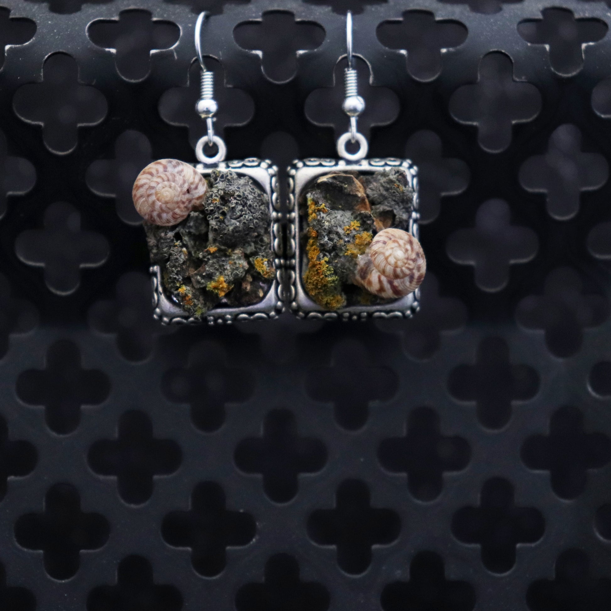 Square earrings with  silver frame and natural bark and lichen and shell design on a black textured background