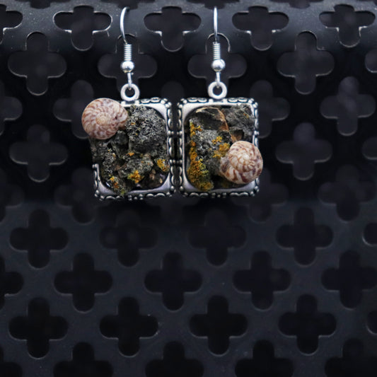Square earrings with  silver frame and natural bark and lichen and shell design on a black textured background